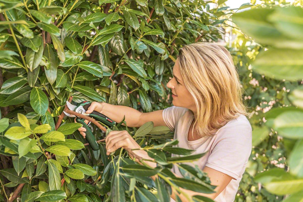 Bosch Home and Garden EasyP-3