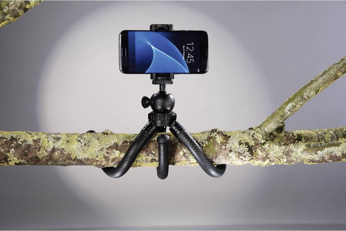 Smartphone sur un trépied flexible, fixé à une branche. Illustre la flexibilité du trépied pour des prises de vue en pleine nature.