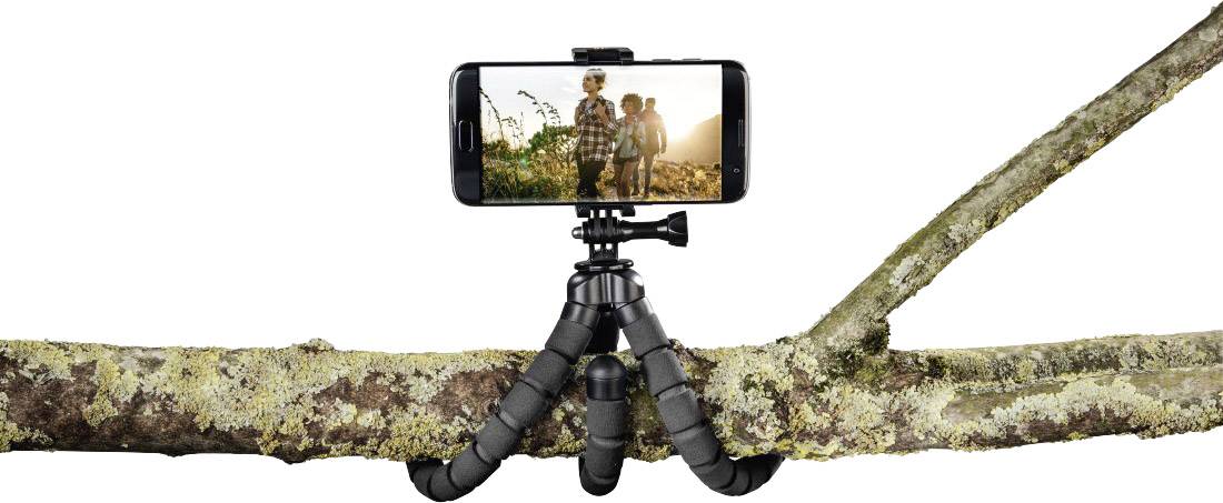 Un smartphone est fixé sur un trépied flexible enroulé autour d'une branche. Sur l'écran, on peut voir une famille dans la nature.