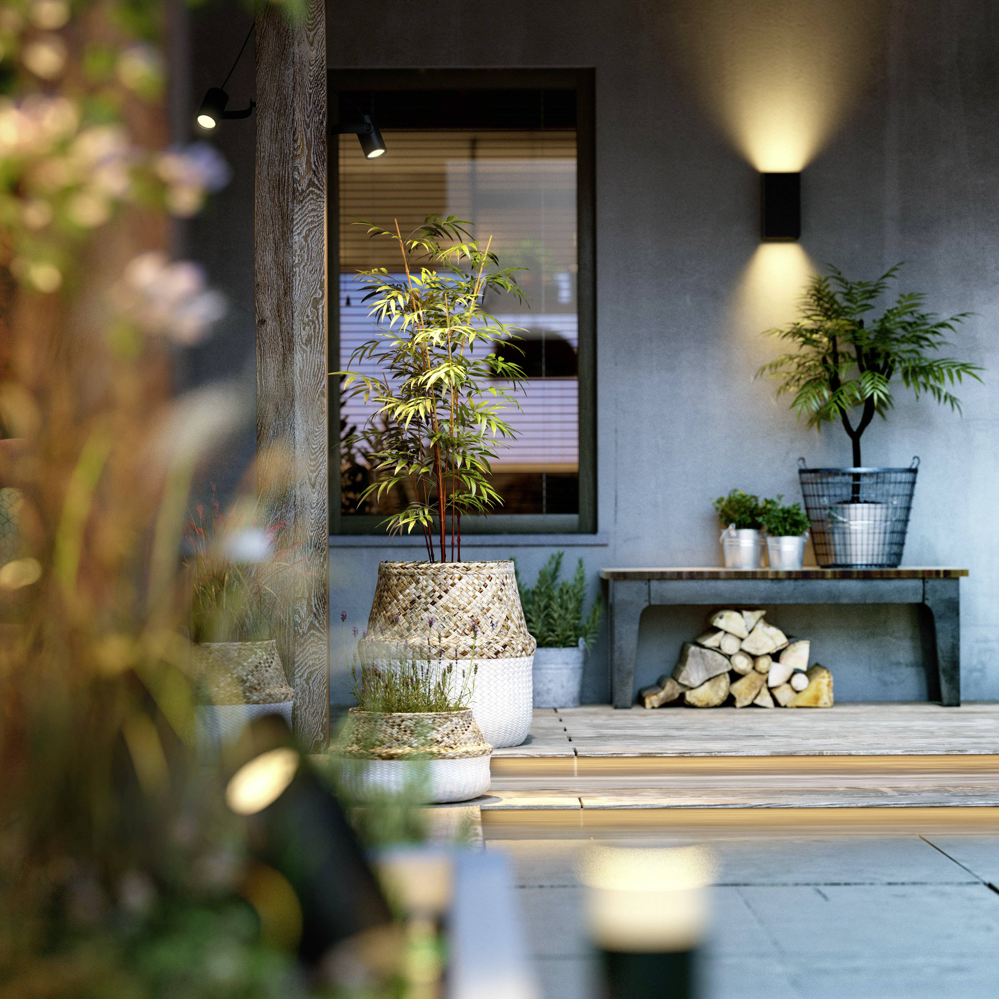 Un hall d'entrée moderne avec des plantes en pot, une pile de bois et une lumière chaleureuse.