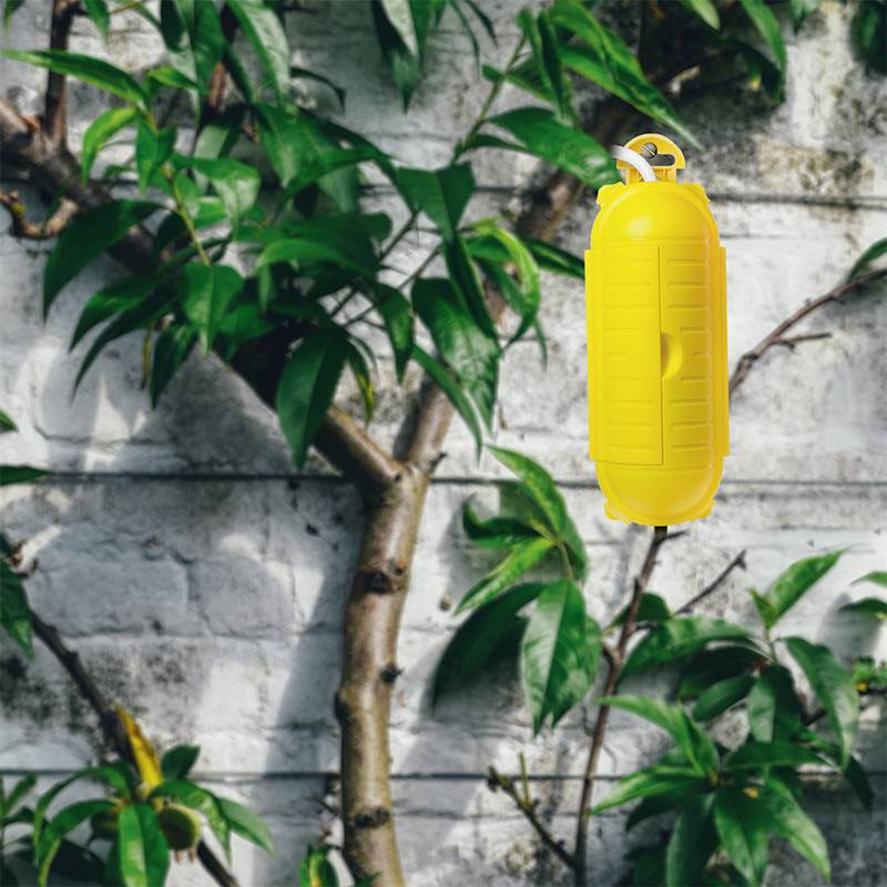 Un jouet jaune est suspendu à un arbre, entouré de feuilles vertes devant un mur gris.