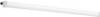 Kanlux TP SLIM Luminaire pour pièces humides 40 W blanc neutre blanc