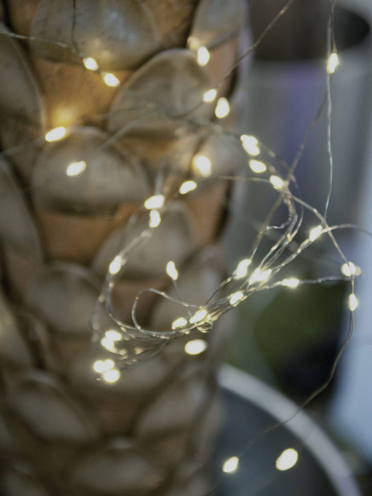 Eurolite 50499260 Guirlande lumineuse en épi pour l'intérieur/extérieur sur secteur Nombre de lumière 500 LED blanc chau-6