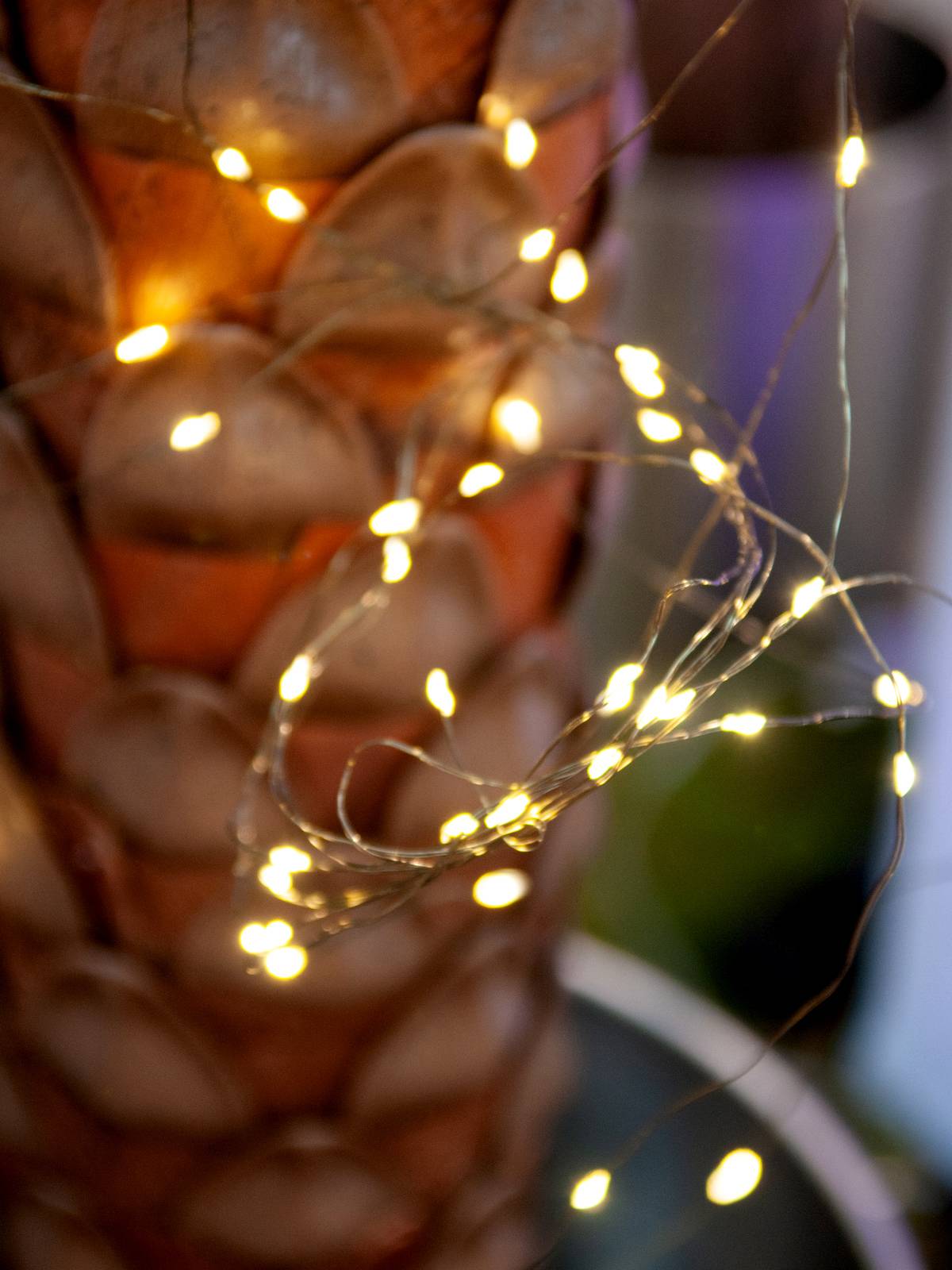 Eurolite 50499260 Guirlande lumineuse en épi pour l'intérieur/extérieur sur secteur Nombre de lumière 500 LED blanc chau-4