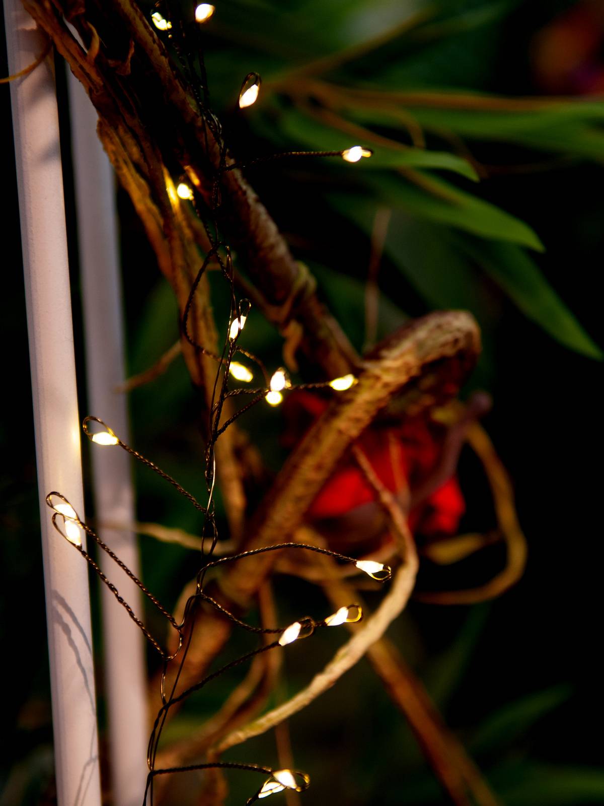 Eurolite 50499260 Guirlande lumineuse en épi pour l'intérieur/extérieur sur secteur Nombre de lumière 500 LED blanc chau-8