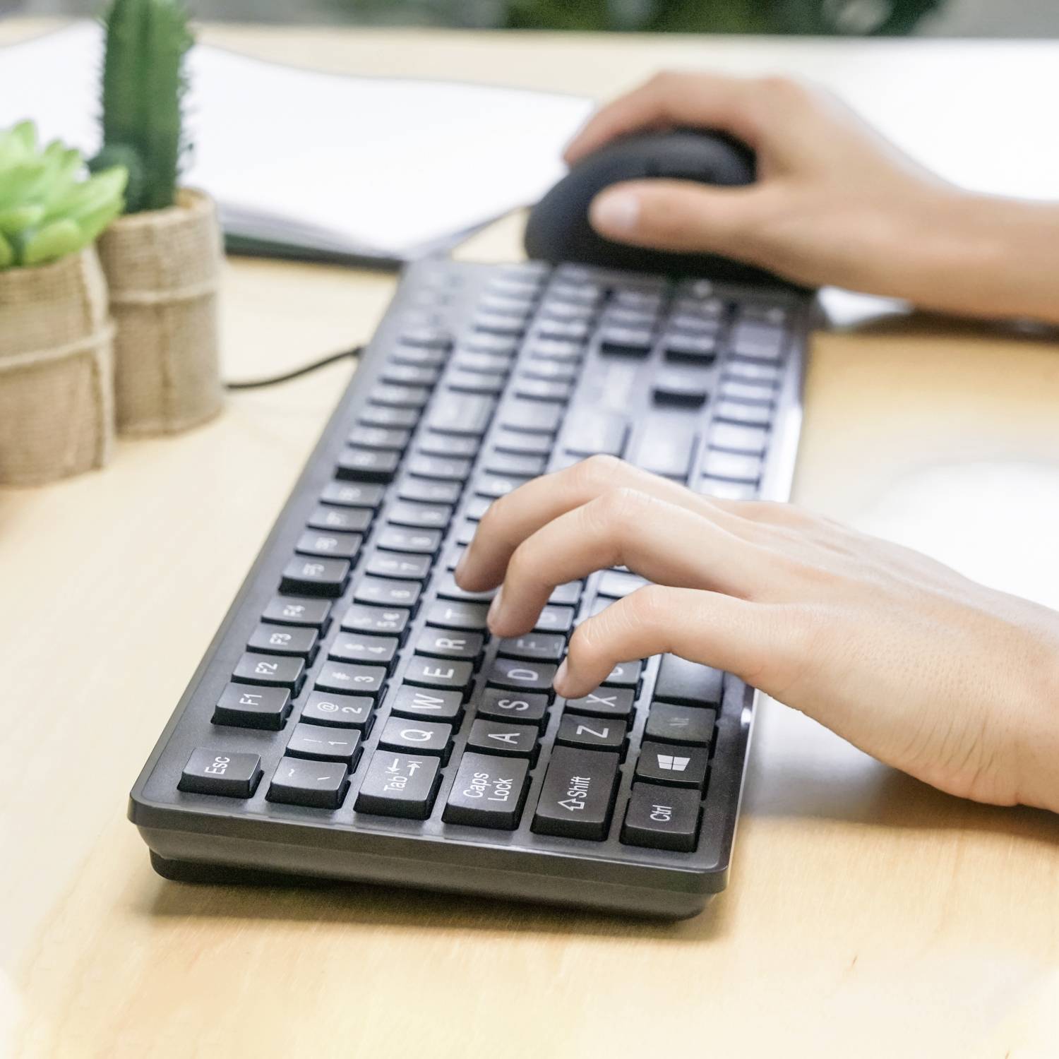 Des mains tapent sur un clavier d'ordinateur, à côté se trouve une souris d'ordinateur. En arrière-plan, on peut voir des cahiers et des succulentes.