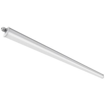Tube fluorescent LED blanc long, extrémités biseautées, avec une connexion enfichable visible à une extrémité. Adapté pour les bureaux et les ateliers.
