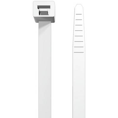 Un collier de câblage blanc, composé d'une sangle plate avec une extrémité dentelée et une tête de verrouillage, est représenté.