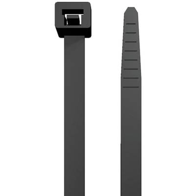 Deux attaches de câble noires, l'une avec une boucle et l'autre avec un bord dentelé, sont placées parallèlement côte à côte.