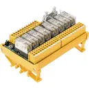 Weidmüller Carte relais avec indicateur LED 1 pc(s) RSM-8 24V+ 1CO Z 1 inverseur (RT) 24 V/DC Piece