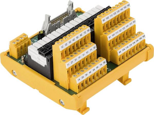 Weidmüller Carte relais avec indicateur LED 1 pc(s)  RSMS-16H 24V- 1CO Z 1 inverseur (RT) 24 V/DC