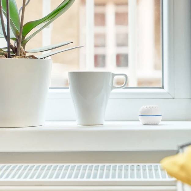 Un rebord de fenêtre avec une plante en pot, une tasse blanche et un petit objet décoratif. L'arrière-plan montre des bâtiments flous.