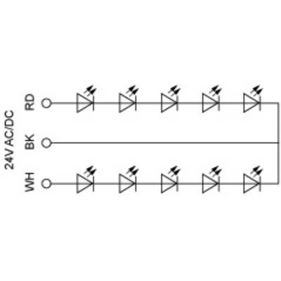 'Schéma de connexion d'un redresseur à 8 diodes pour courant alternatif/continu 24V. Les connexions sont marquées WH (Blanc), RD (Rouge) et BK (Noir).'