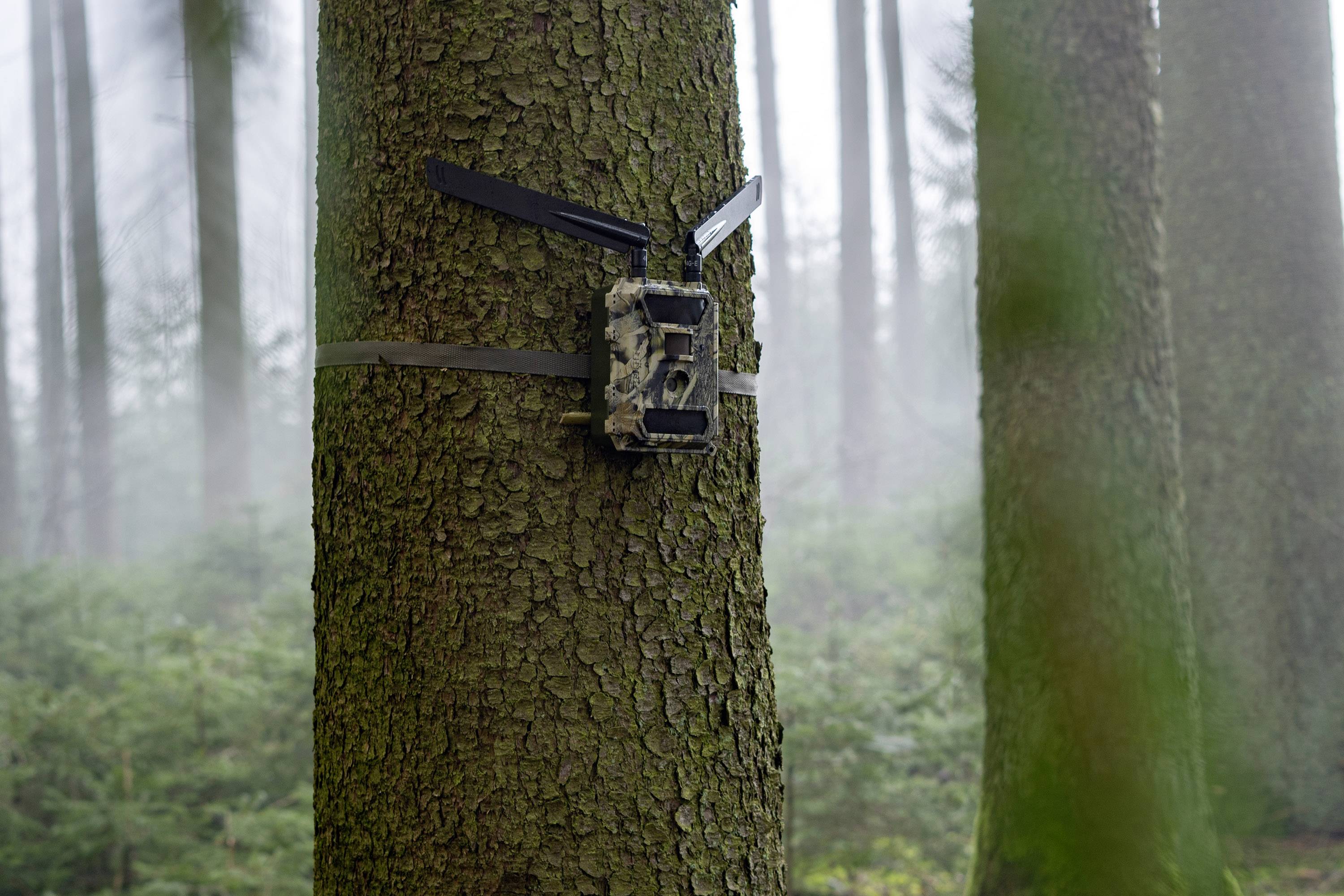 Caméra de chasse DÖRR SnapShot Cloud 4G 12 Mill. pixel Transfert d'images 4G, LED noires, fonction time-lapse, module GS-1