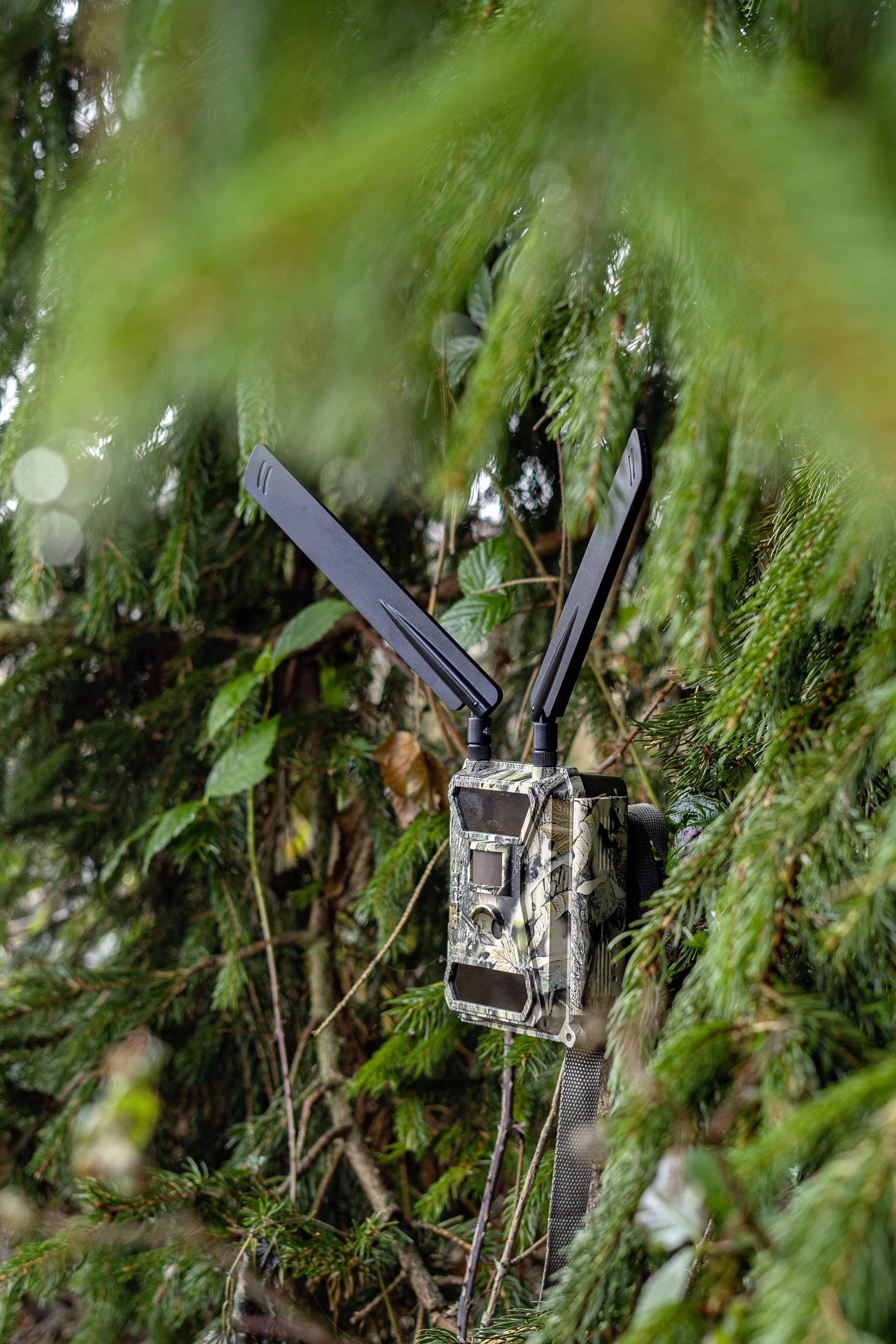 Caméra de chasse DÖRR SnapShot Cloud 4G 12 Mill. pixel Transfert d'images 4G, LED noires, fonction time-lapse, module GS-2