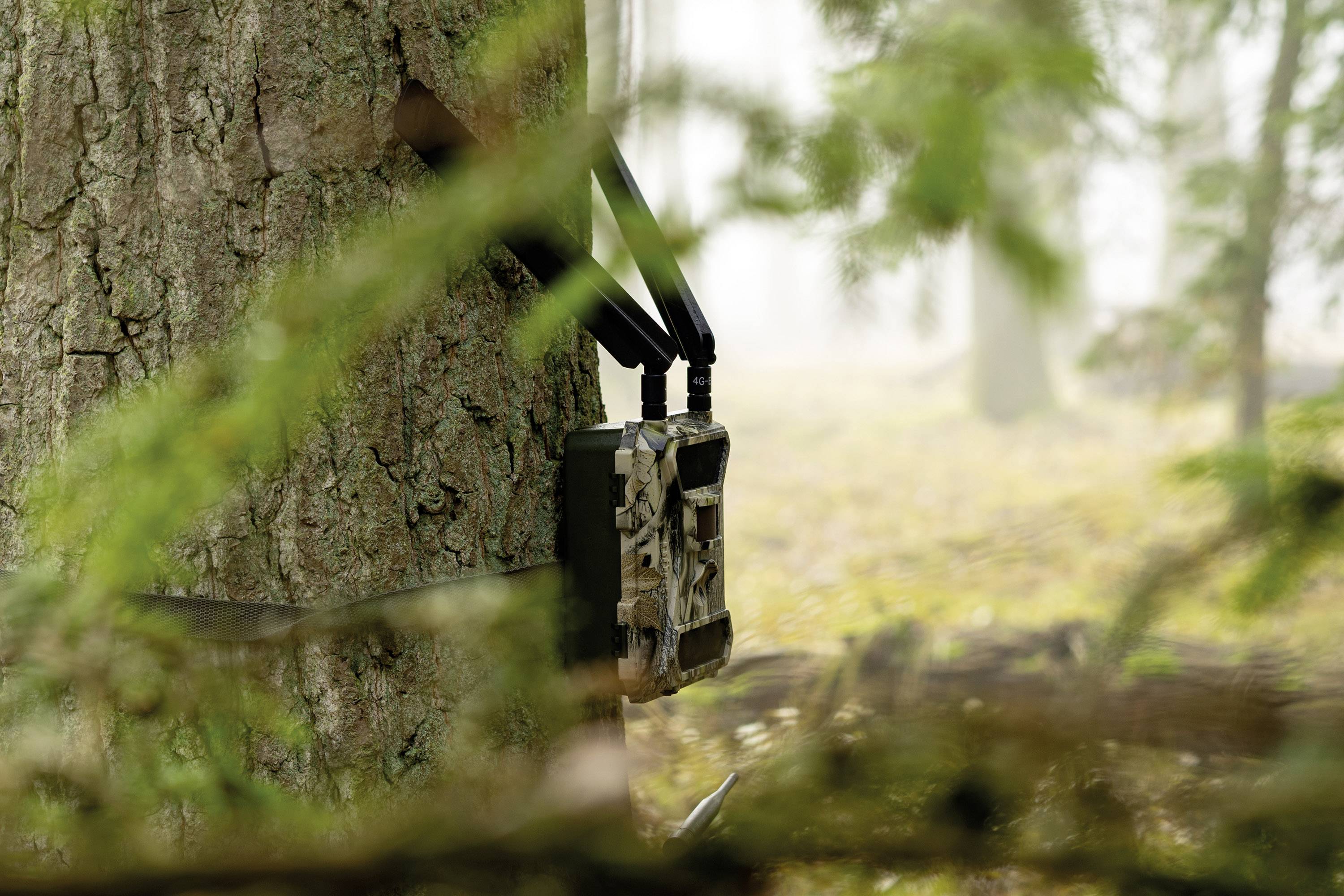 Caméra de chasse DÖRR SnapShot Cloud 4G 12 Mill. pixel Transfert d'images 4G, LED noires, fonction time-lapse, module GS-5