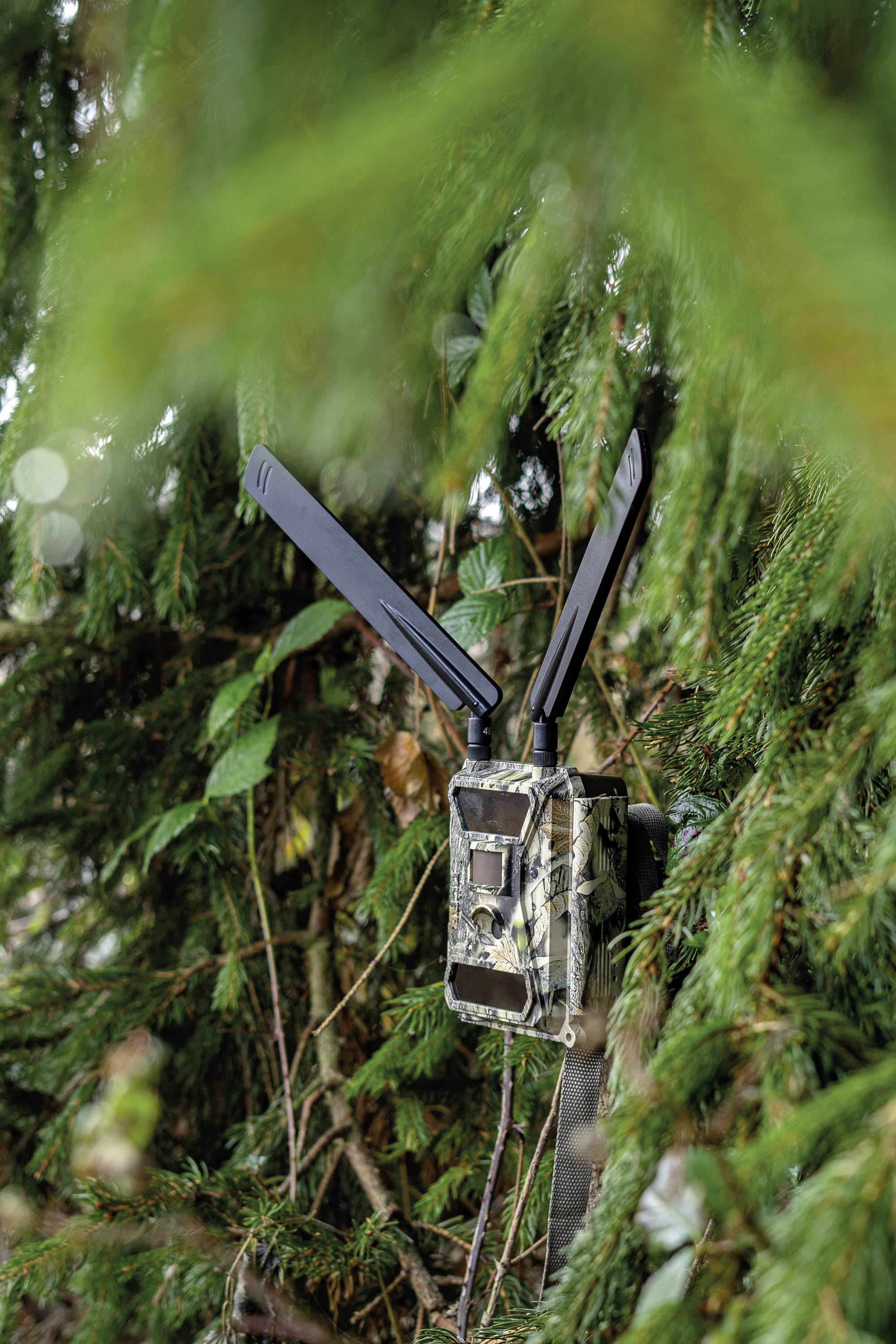 Caméra de chasse DÖRR SnapShot Cloud 4G 12 Mill. pixel Transfert d'images 4G, LED noires, fonction time-lapse, module GS-12