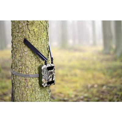 Caméra de chasse DÖRR SnapShot Cloud 4G 12 Mill. pixel Transfert d'images 4G, LED noires, fonction time-lapse, module GS-13