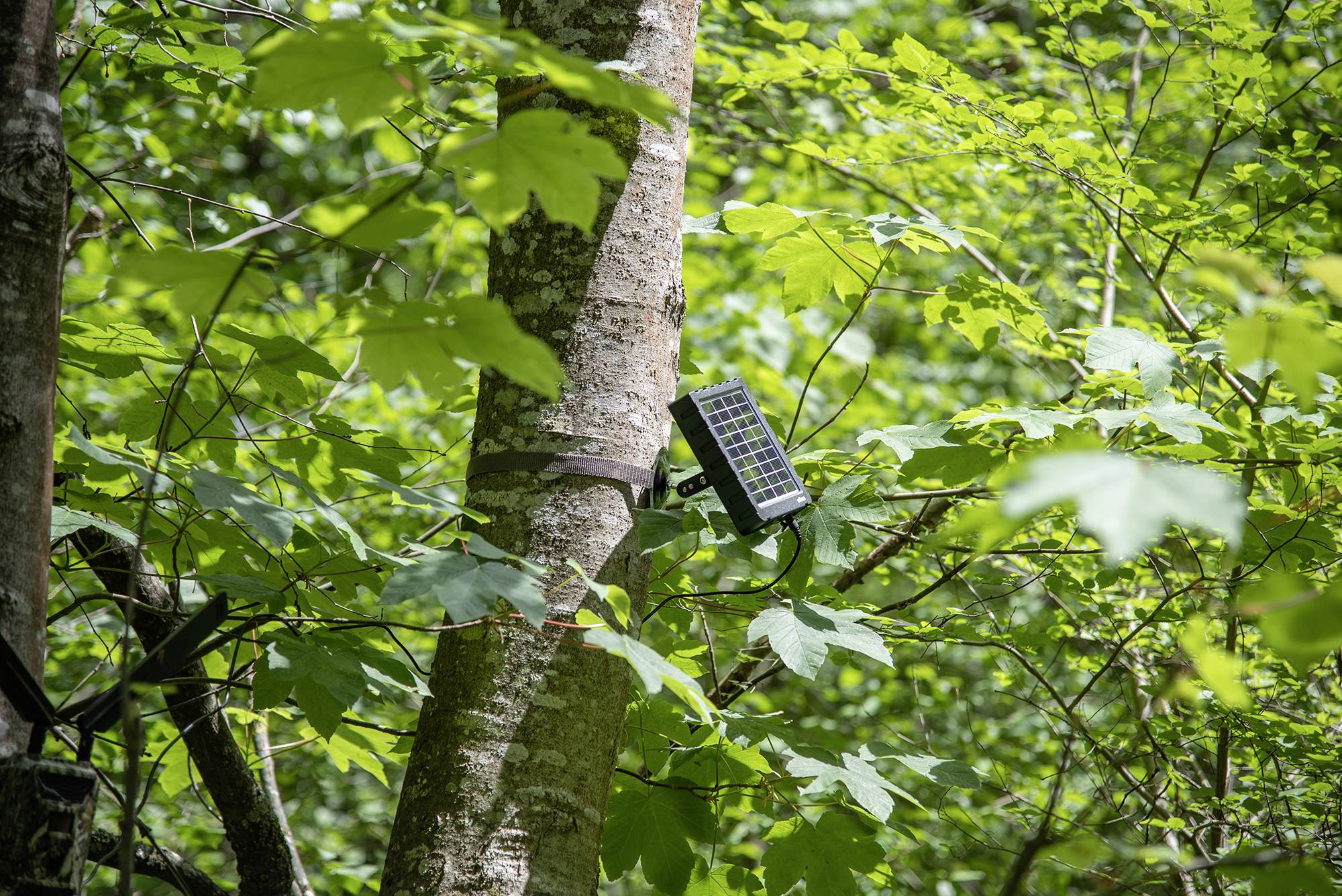 Panneau solaire DÖRR SP-1500 12V-5