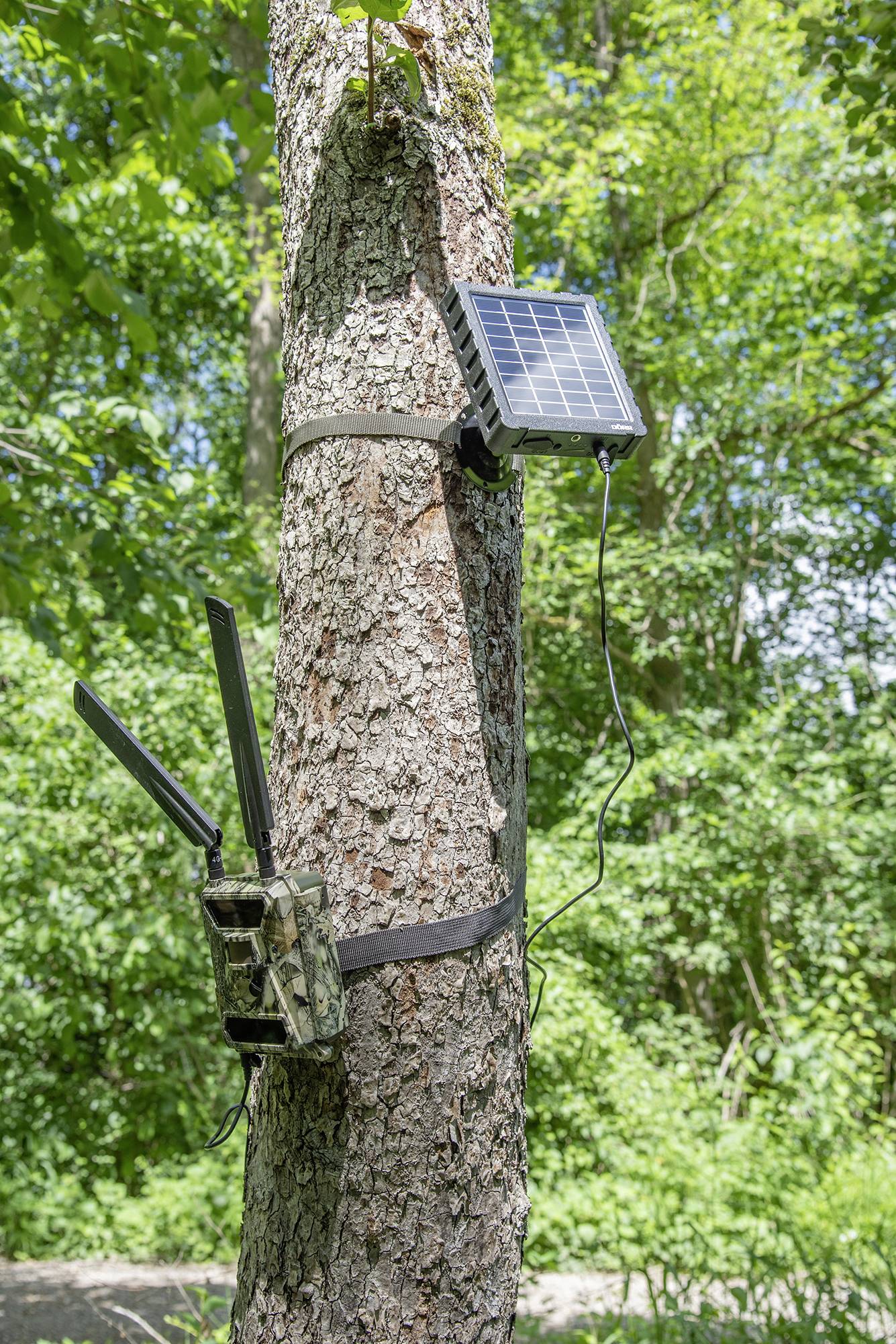 Panneau solaire DÖRR SP-1500 12V-8