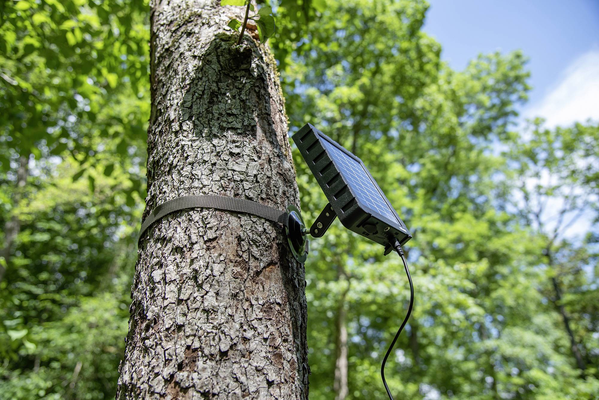 Panneau solaire DÖRR SP-1500 12V-9