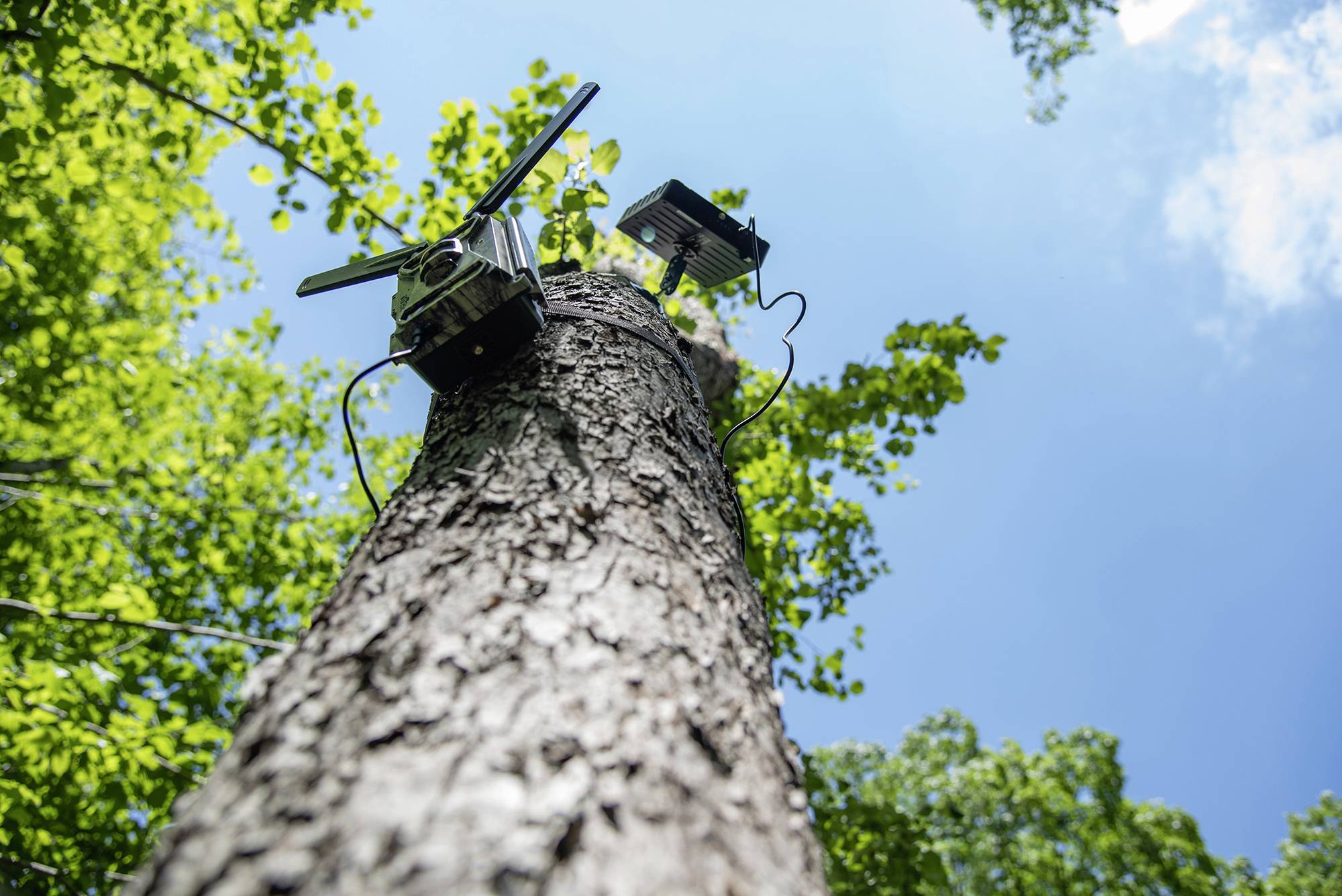 Panneau solaire DÖRR SP-1500 12V-10