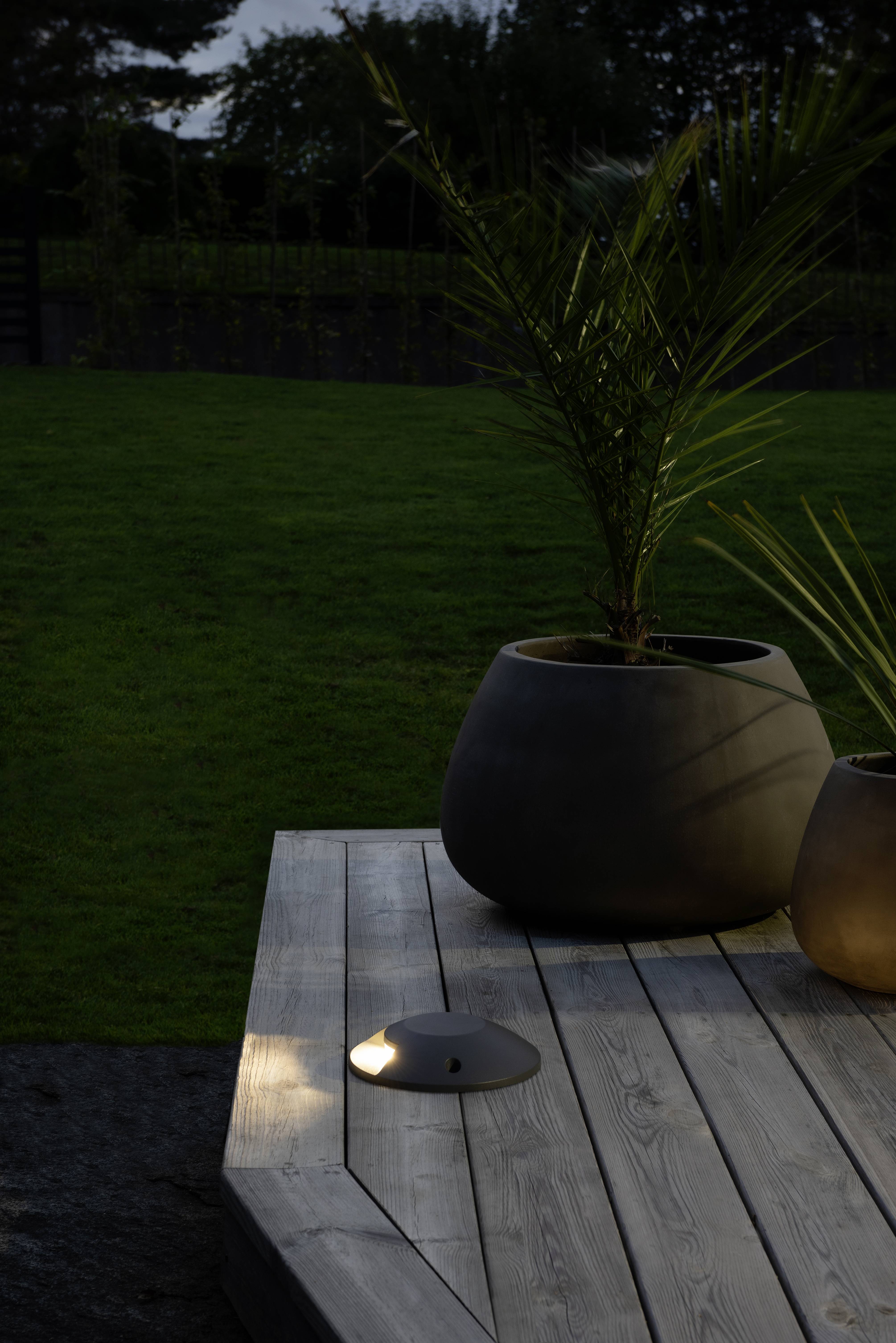 Terrasse en bois avec des pots de fleurs ronds, des plantes de palmiers et un éclairage encastré au sol. L'arrière-plan montre une pelouse et des arbres dans la lumière du soir.