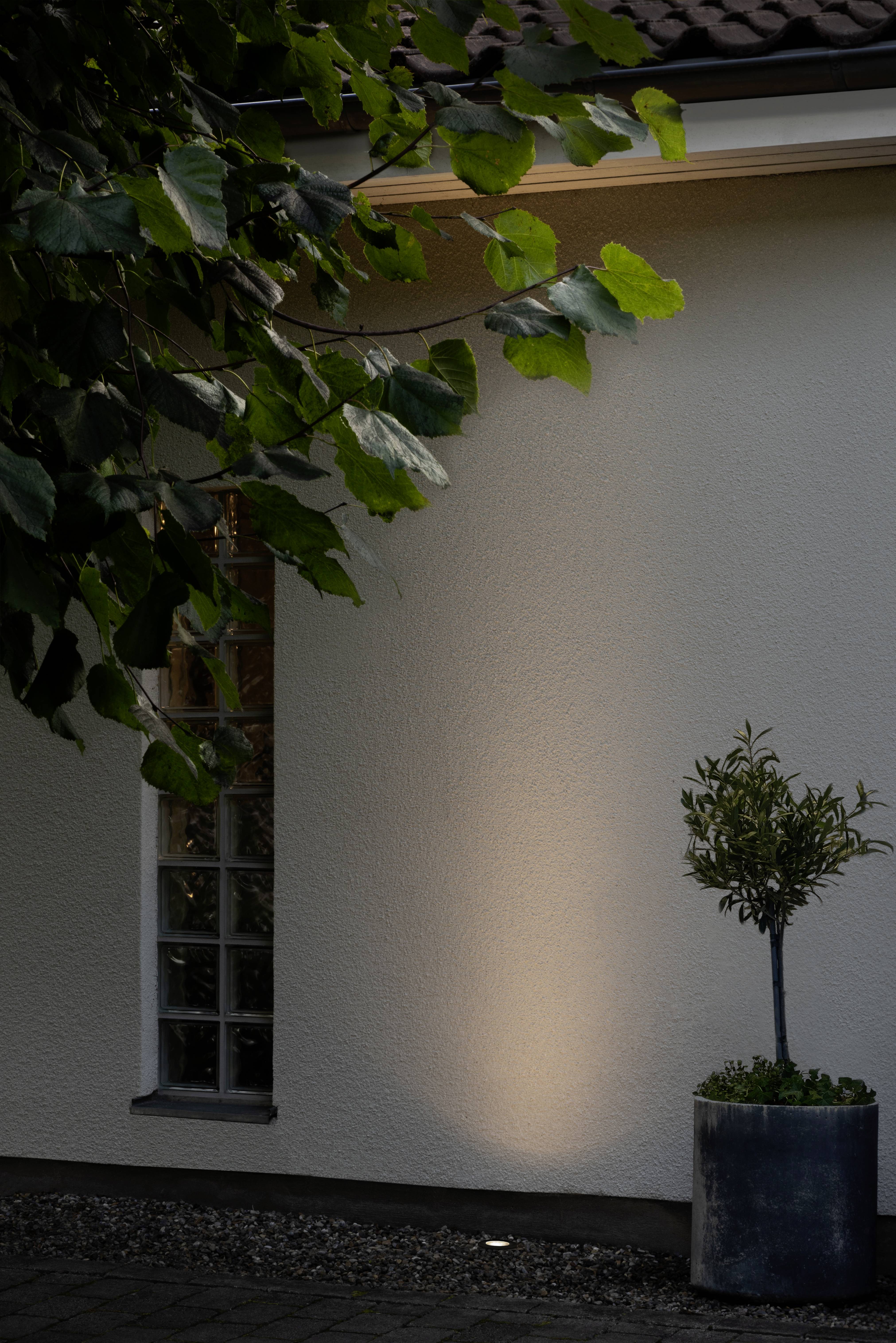 Éclairage extérieur illuminant un mur de maison et un arbre en pot au crépuscule, avec des branches surplombantes au premier plan.