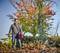 Un homme utilise un souffleur de feuilles pour disperser les feuilles d'automne dans un jardin. En arrière-plan, on peut voir des arbres aux couleurs automnales.