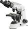 Un microscope de laboratoire blanc avec plusieurs objectifs et des molettes de mise au point réglables, fabriqué par Kern Optics.