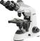 Un microscope biologique blanc à deux oculaires et un revolver à objectifs rotatif, est placé sur le côté d'une table.