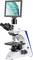 Un microscope doté d'un écran intégré affichant une image agrandie d'une structure cellulaire. Adapté pour les analyses de laboratoire.