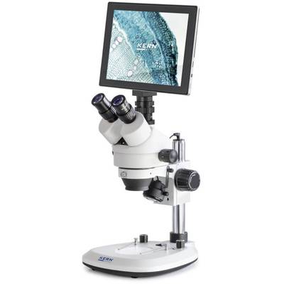 Microscope avec écran intégré montrant une coupe de tissu agrandie dans des tons bleus et verts.