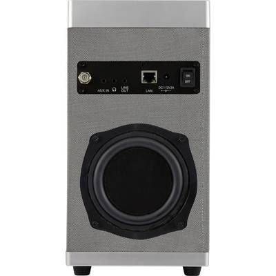 Haut-parleur gris argenté vu de dos, montrant les connexions : AUX-IN, LINE-OUT, LAN, DC 12V et un interrupteur marche/arrêt.