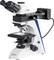 Microscope doté de plusieurs objectifs et oculaires, adapté aux investigations scientifiques dans un environnement de laboratoire.
