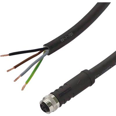 Un câble noir avec des fils de cuivre dénudés en quatre couleurs et une fiche métallique à l'extrémité. Adapté pour les connexions électriques.