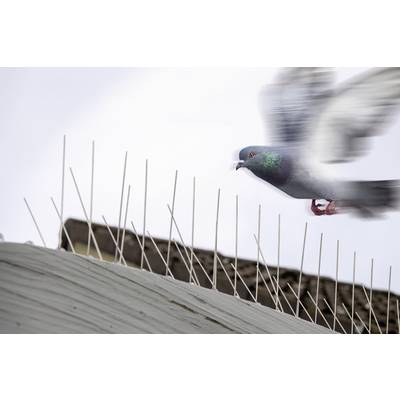 Pics anti-pigeons Gardigo Bird Repellent Spikes Type de fonctions effet  dissuasif 10 pc(s) - Conrad Electronic France