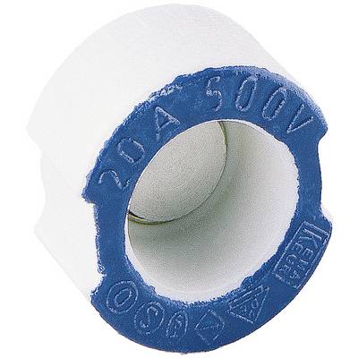 Un fusible cylindrique à indication bleue '20A 500V'.