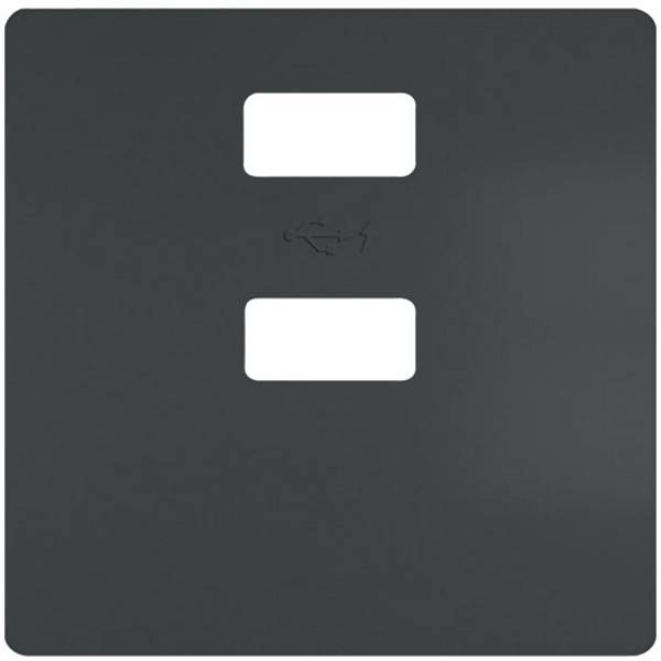 Siemens Gamme d'interrupteurs  Cache Cache Delta anthracite 5TG25780CM 1 pc(s)