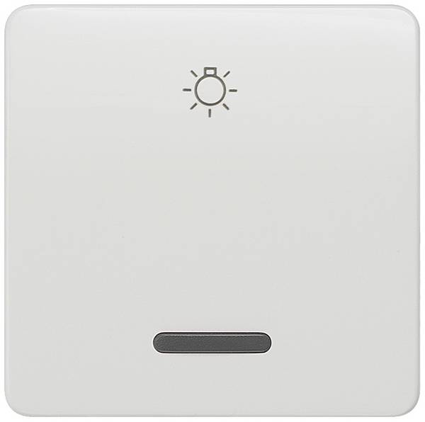 Siemens Gamme d'interrupteurs   Bouton à bascule Delta blanc 5TG7806 1 pc(s)