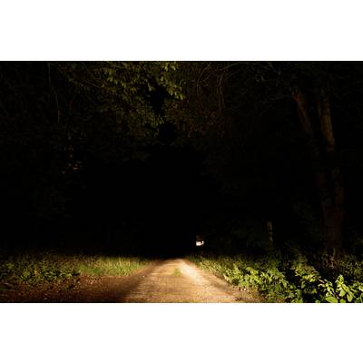 Un sentier étroit et non pavé traversant une forêt sombre, éclairé par des projecteurs, s'achève dans une obscurité totale.