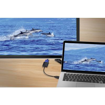 Un ordinateur portable est connecté à un écran plus grand ; les deux écrans affichent une image de dauphins sautant dans la mer.