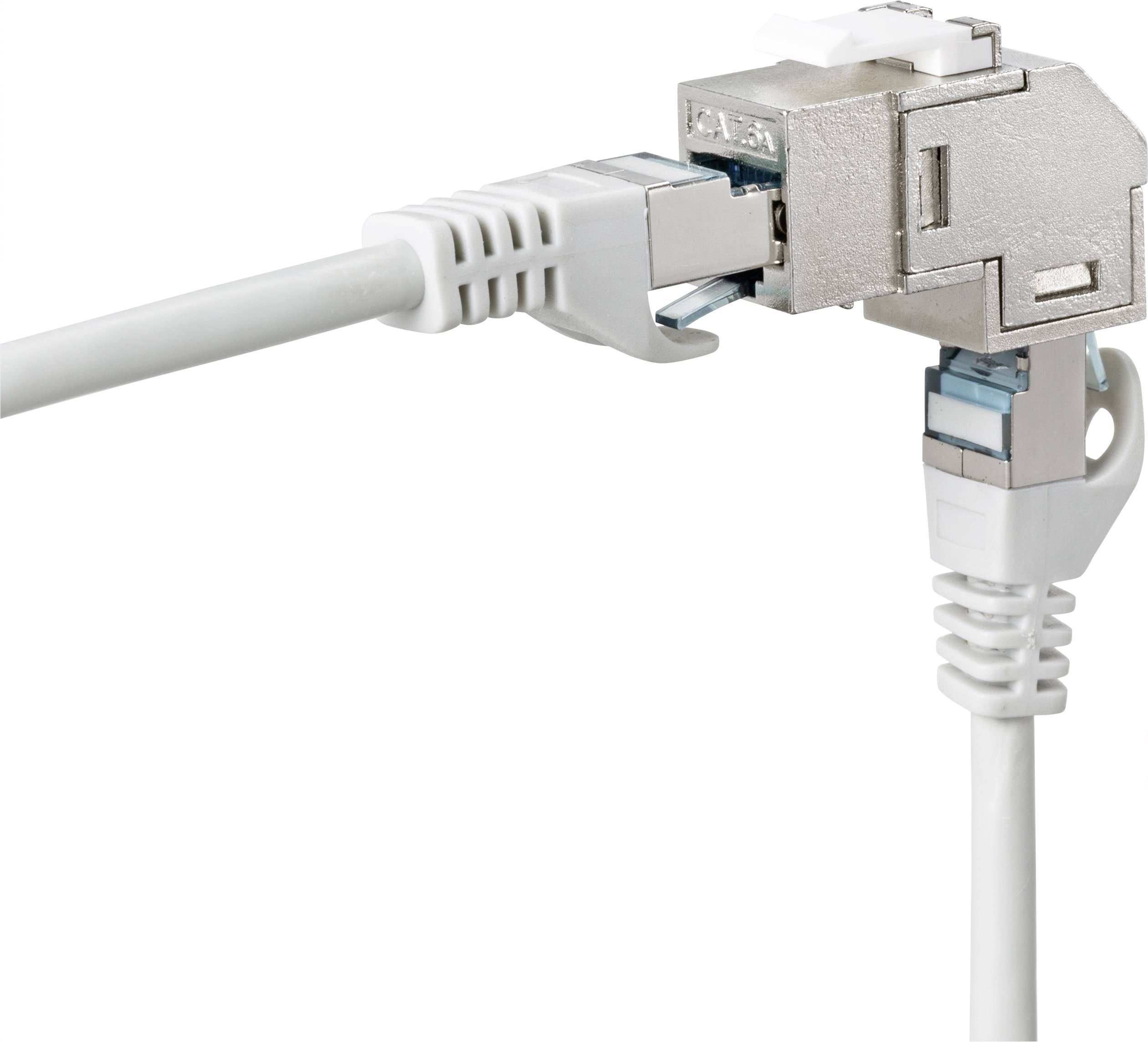 Renkforce réseau informatique Adaptateur CAT 6a [1x RJ45 femelle - 1x RJ45 femelle]-2