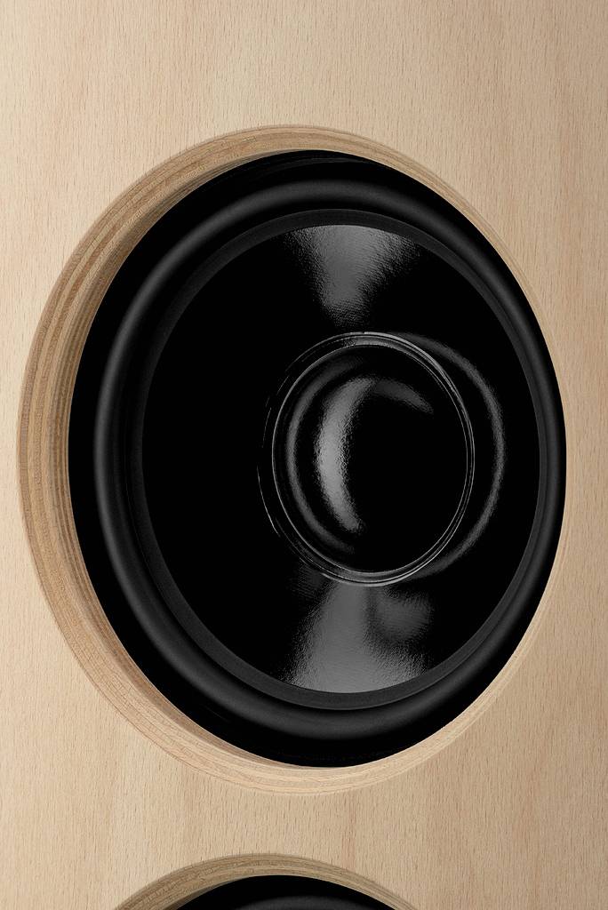 Haut-parleur noir sur une surface en bois brun clair.