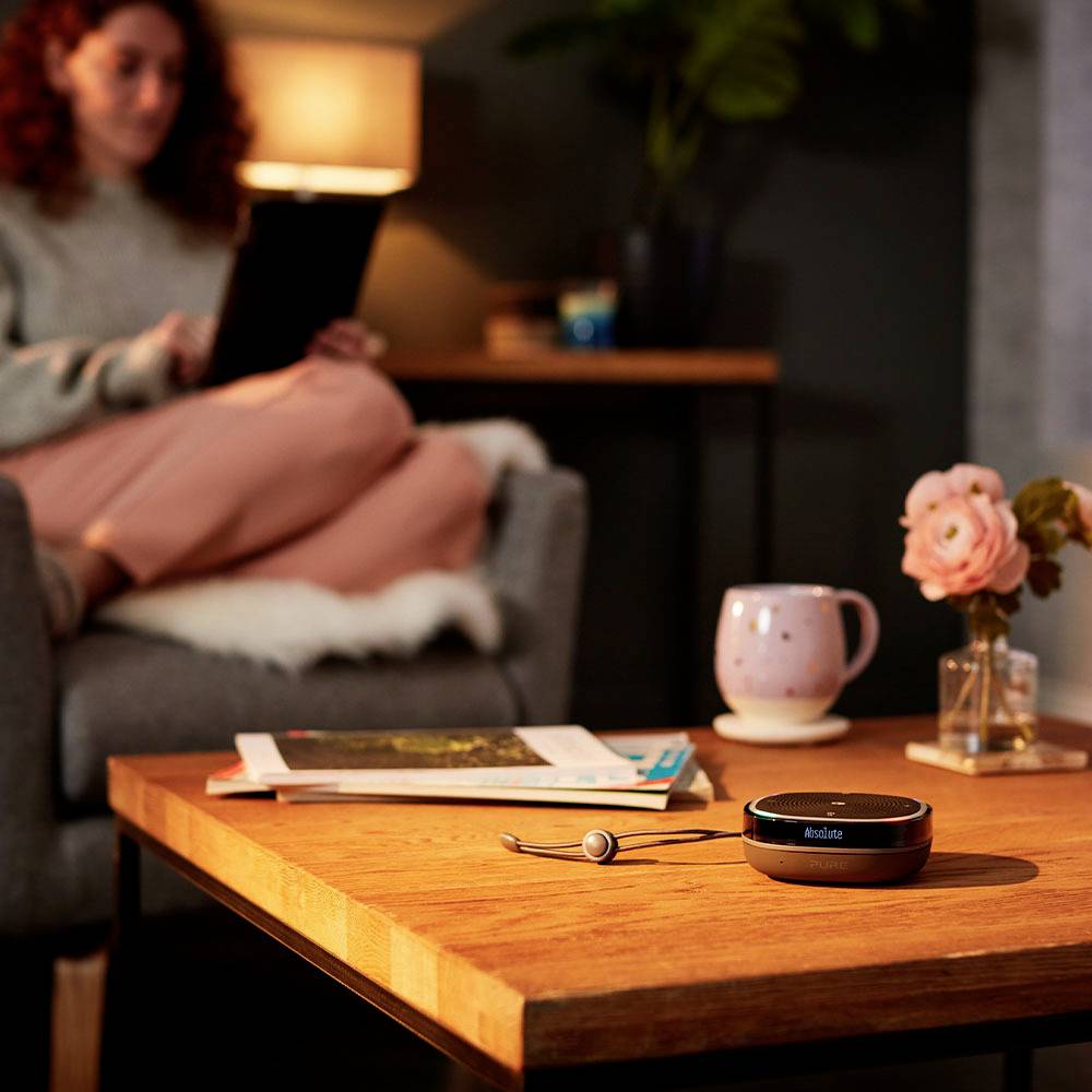 Pure StreamR Splash Enceinte à commande vocale Radio FM, étanche à l'eau, outdoor, AUX noir-2