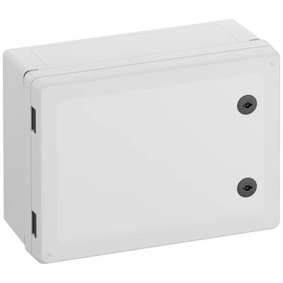 Boîte rectangulaire en plastique grise avec deux vis de fermeture ou de fixation sur la façade, probablement destinée à des applications techniques.
