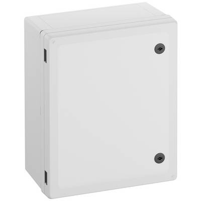 Un boîtier de sécurité rectangulaire blanc aux bords arrondis, muni de deux vis noires sur la façade.