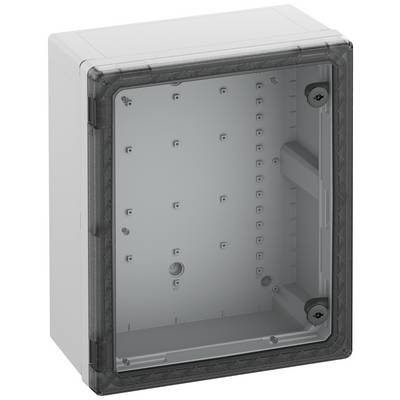 Boîtier gris, rectangulaire avec un couvercle transparent, adapté pour une fixation murale. L'intérieur est vide, avec plusieurs points de fixation.