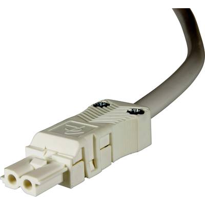 Un câble réseau blanc avec une fiche bipolaire, montrant le côté avant de la fiche qui peut être branchée dans un appareil.