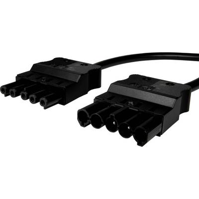 Deux fiches noires à cinq broches, reliées par un câble, sont posées côte à côte sur un fond blanc.